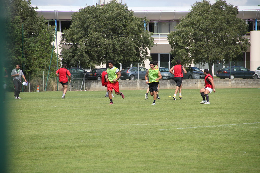 Rugby en Occitanie : une passion, des champions, une identité