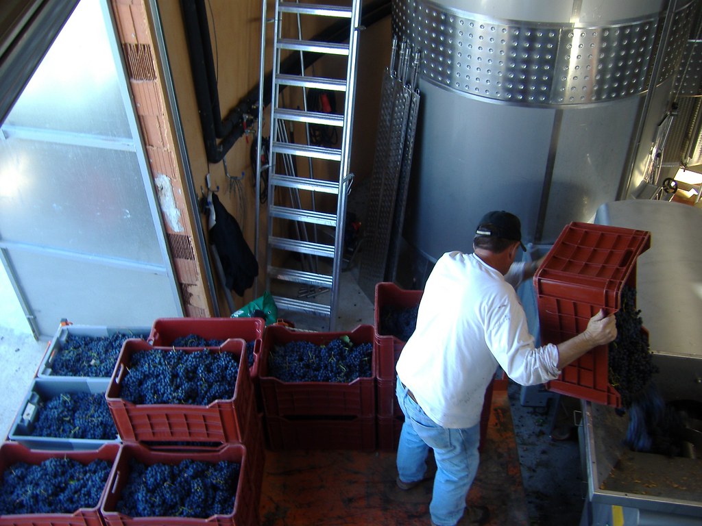 Vignobles du Languedoc sur la route des vins
