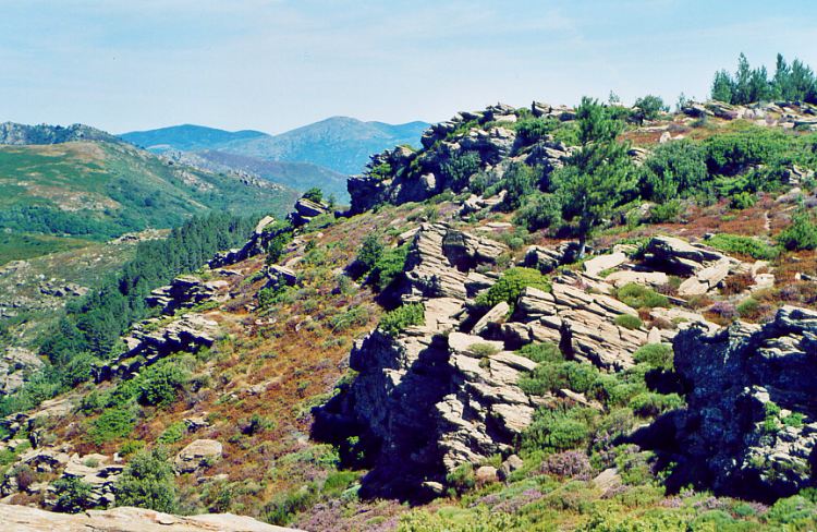 Massif du Caroux, parc naturel régional du Haut-Languedoc